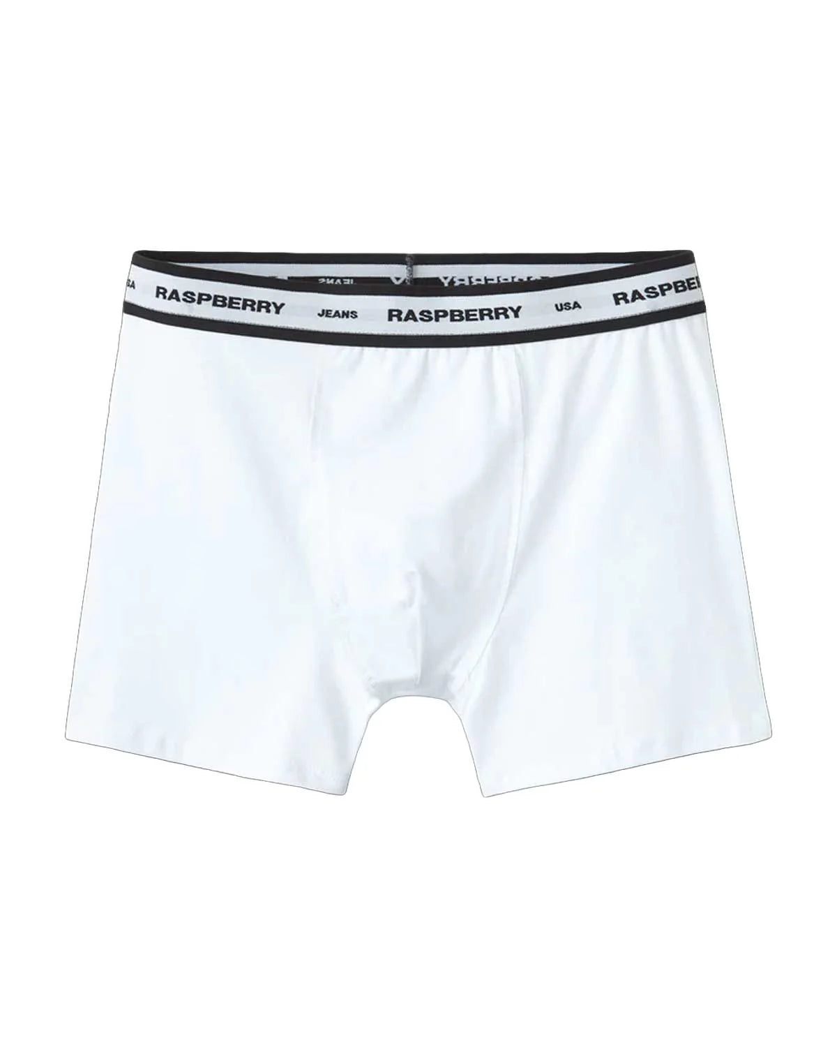 RASPBERRY HILL WHITE BRIEF